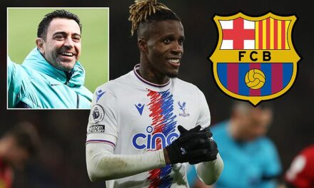 Barcelona target Crystal Palace star Wilfried Zaha as a replacement for Ferran Torres | Daily Mail Online