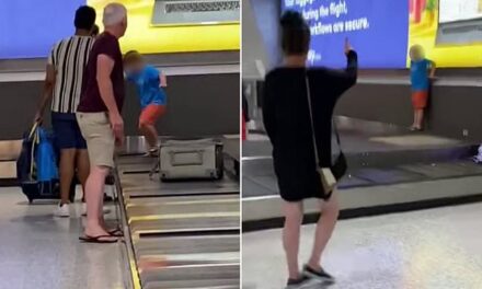 Child goes rogue at Melbourne Airport, dragging luggage off the baggage carousel before cops called | Daily Mail Online