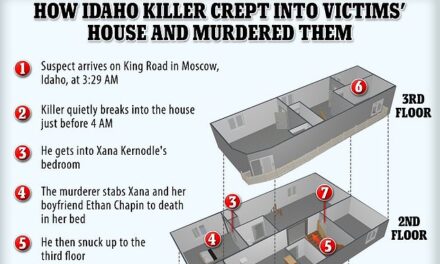 Graphic shows how the Idaho killer crept through the victims’ house stabbing four students to death | Daily Mail Online