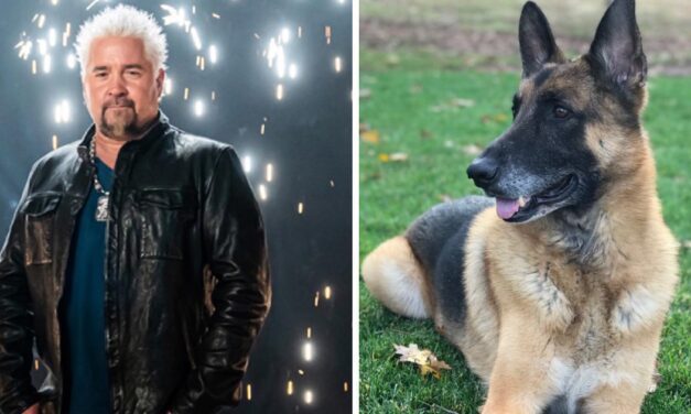 Guy Fieri Shared The Sad News That His Canine, Cowboy, Has Died
