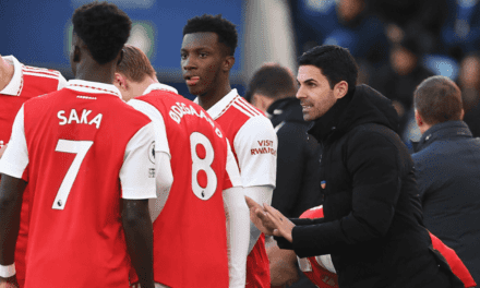Mikel delighted to have more options to rotate