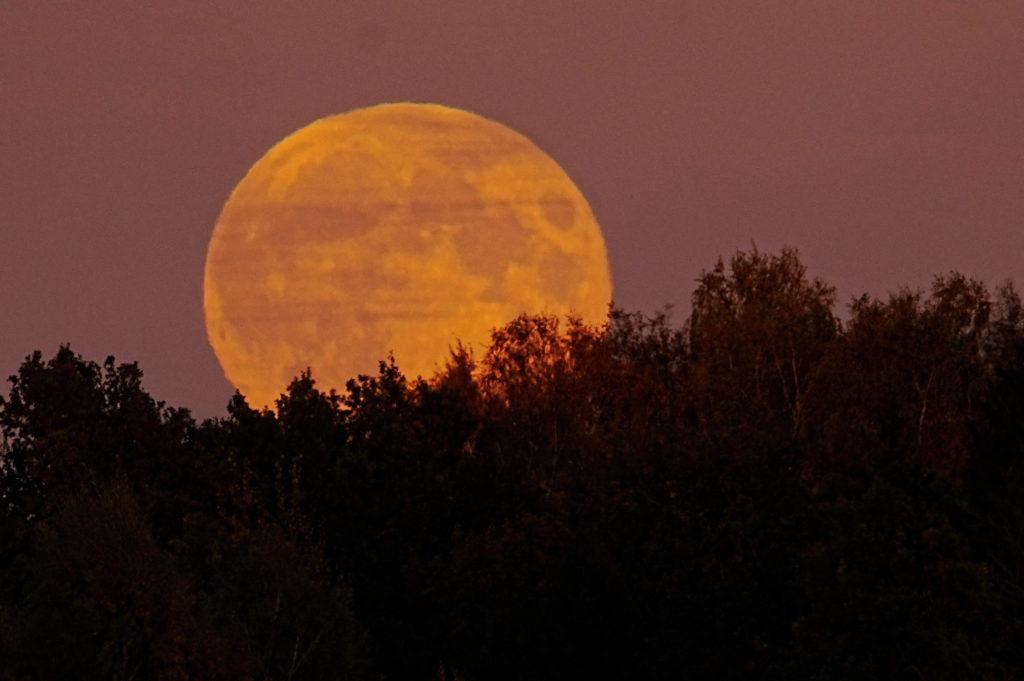 Tracing the Lunar Calendar: ‍How Supermoons Guide⁤ Timekeeping and Agriculture