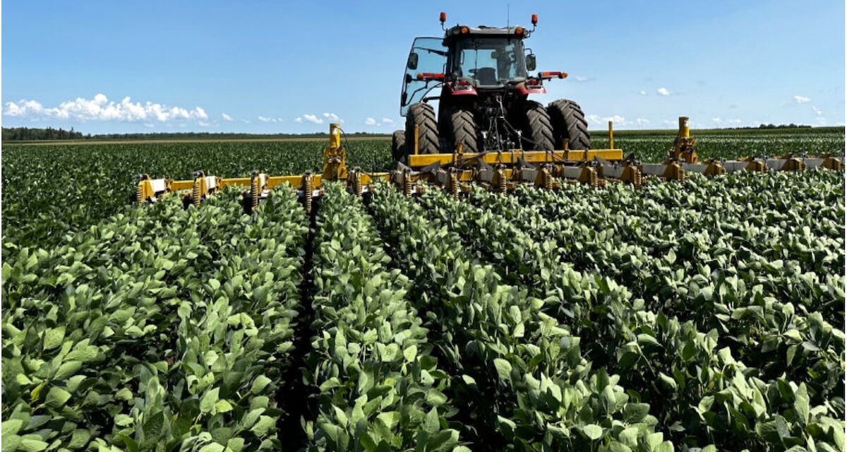 Iroquois Valley: Investing in Farmers Transitioning to Organic, Regenerative Agriculture